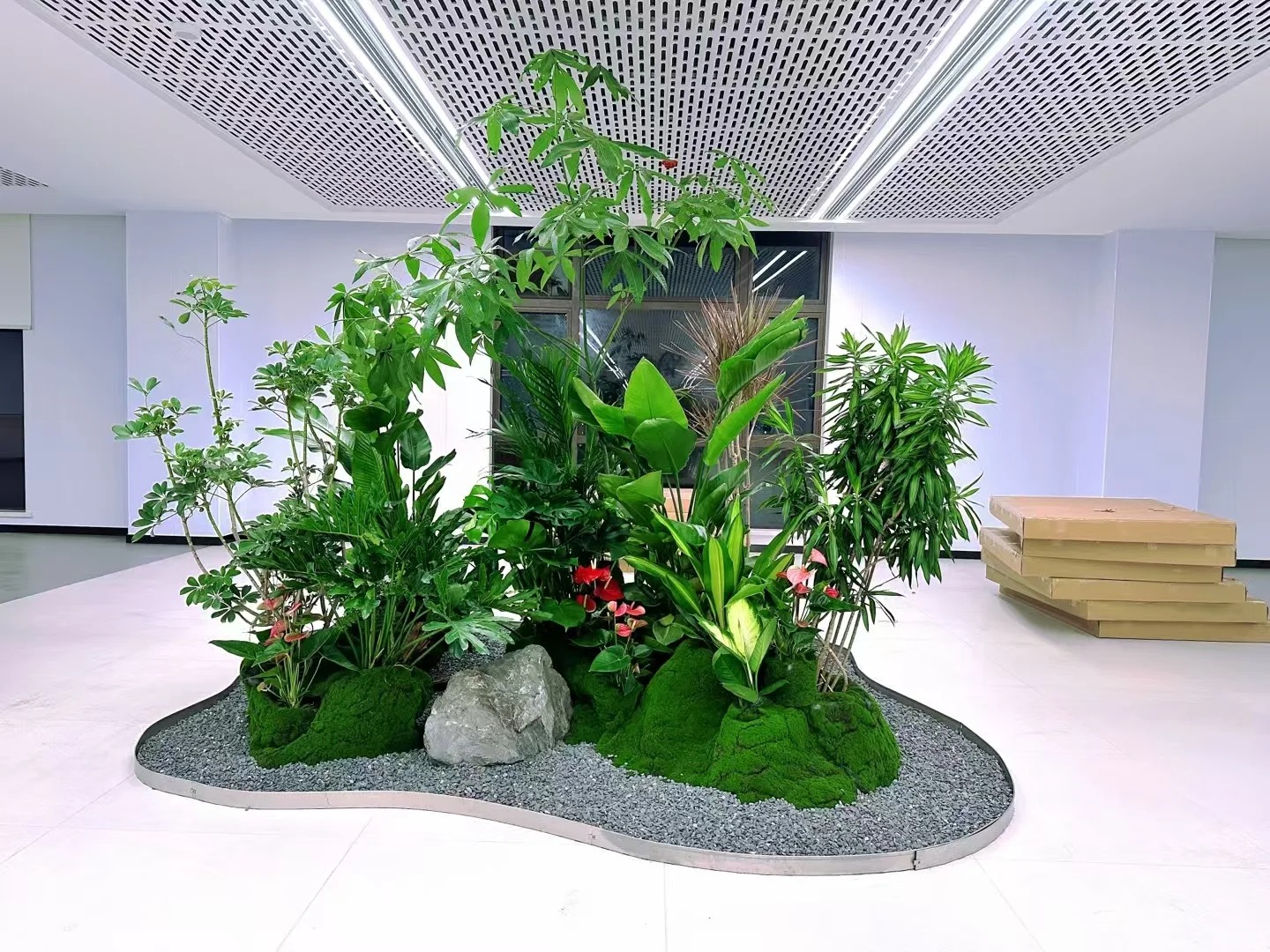 余姚植物租摆哪家好?看这几家脱颖而出的优质之选