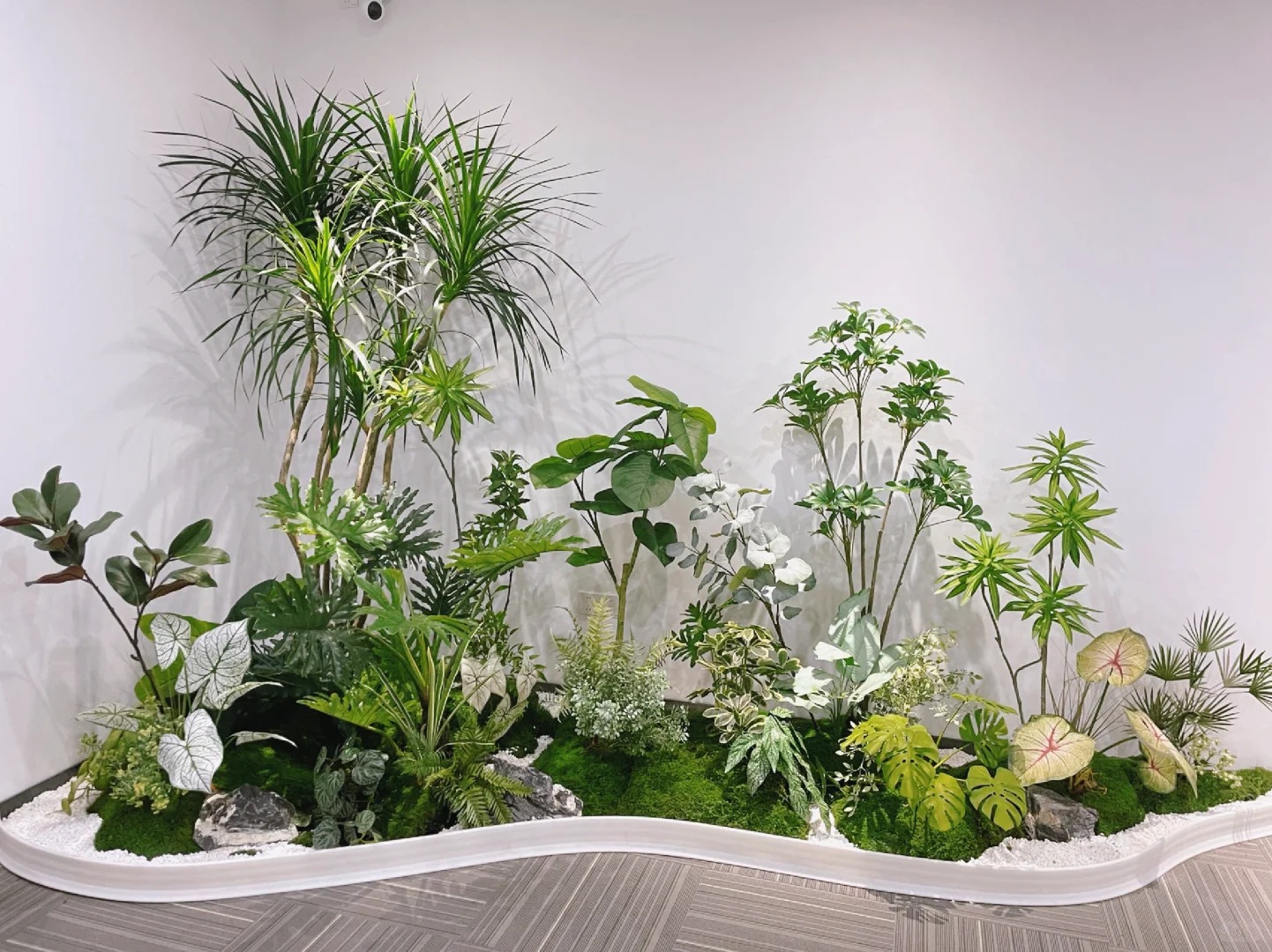 余姚植物租摆哪家好?看这几家脱颖而出的优质之选